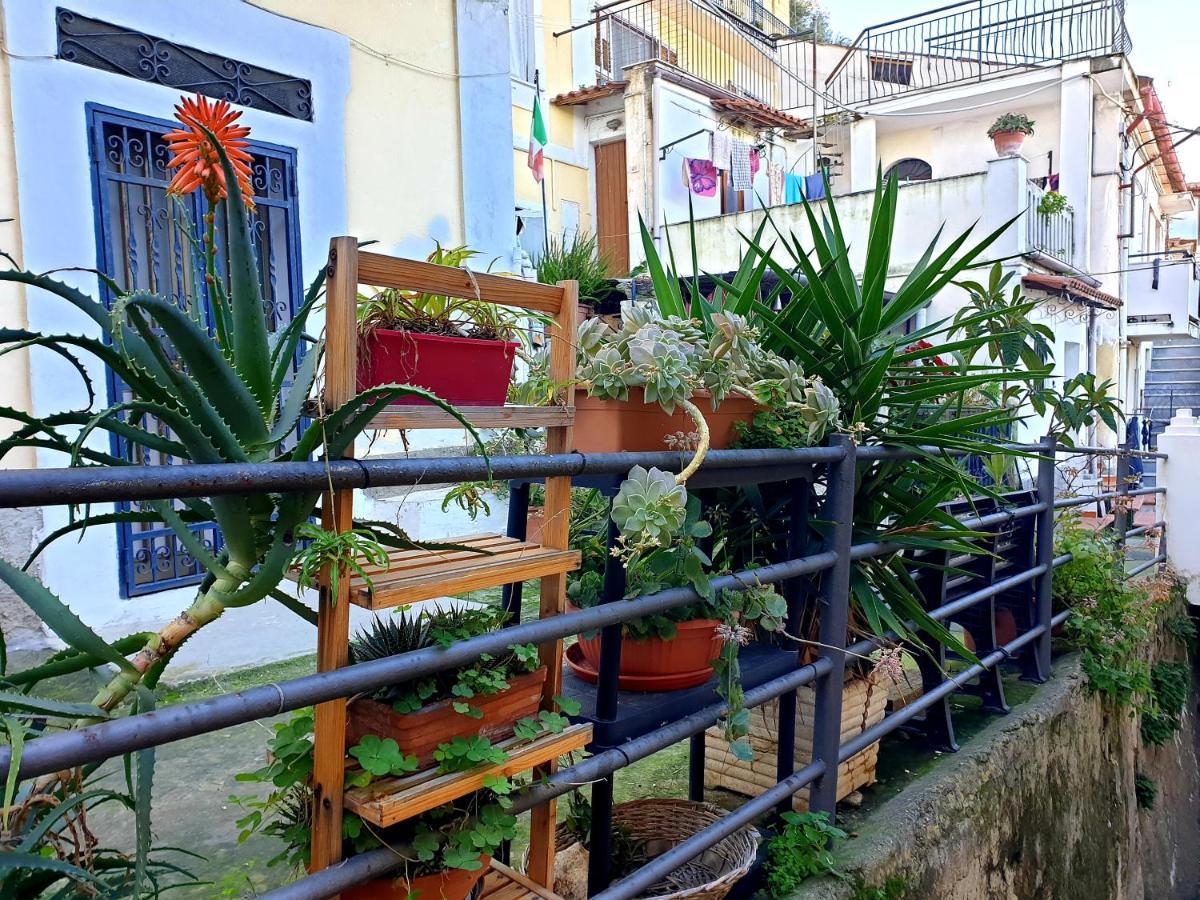 2 Bed Apartment In The Historical Center Pizzo Pizzo  Esterno foto